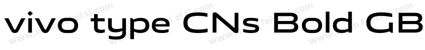 vivo type CNs Bold GB字体转换